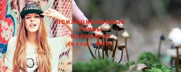 бошки Беломорск