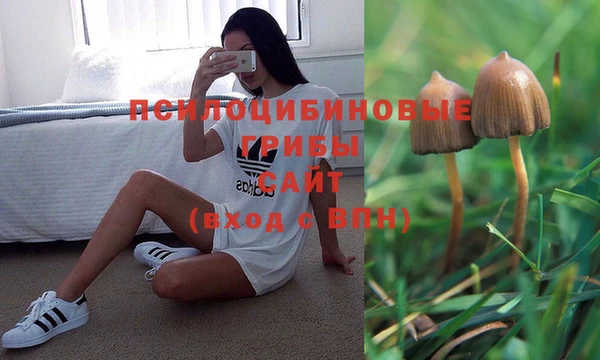 мескалин Белокуриха