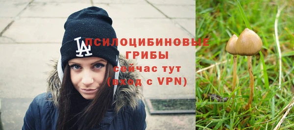 бошки Беломорск