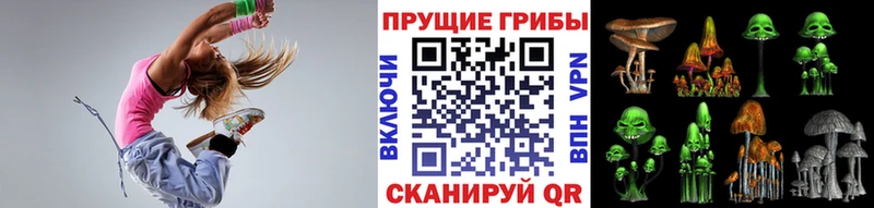 hydra зеркало  Шадринск  Псилоцибиновые грибы Cubensis 